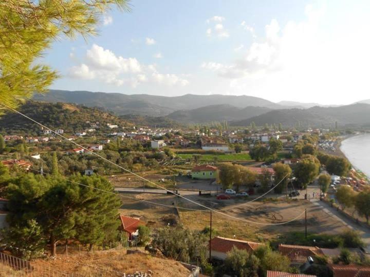 Anaxos Hotel Екстериор снимка